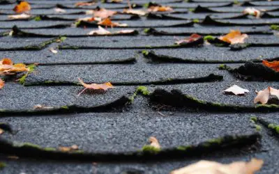 4 Signs You Need a New Roof