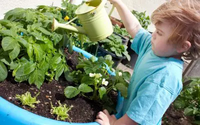 Gardening With Kids? Start With These Foolproof Plants