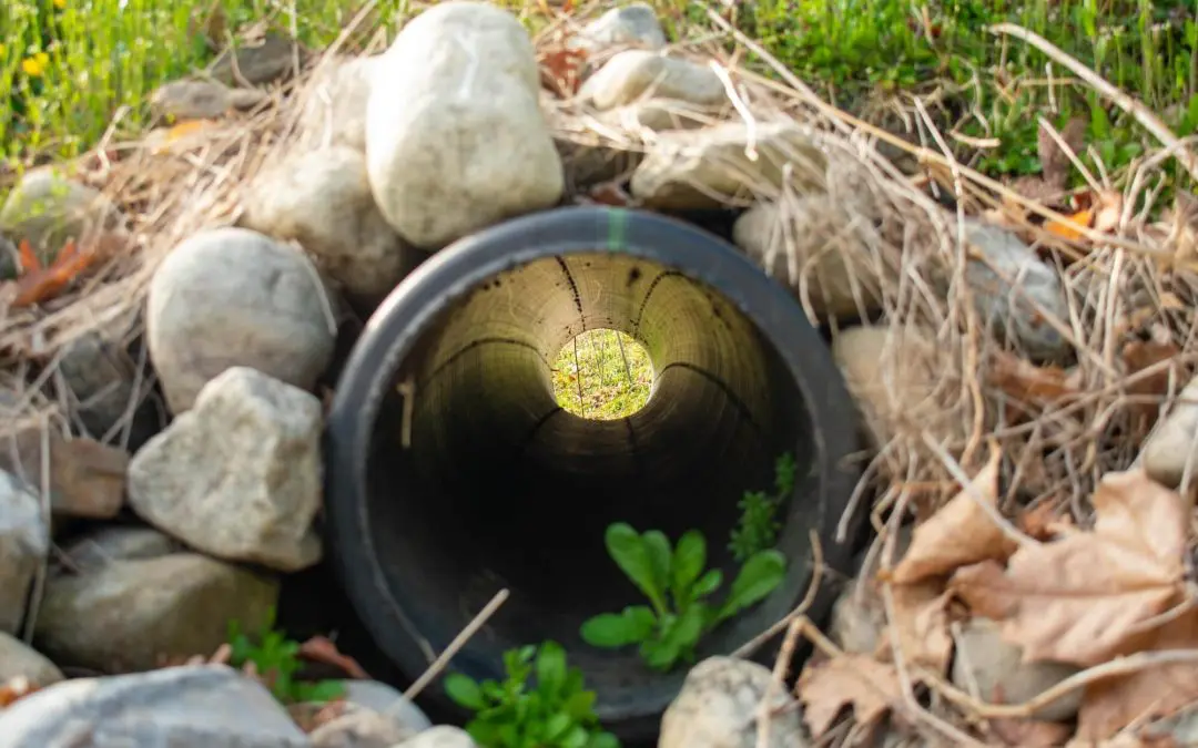 Improve Drainage
