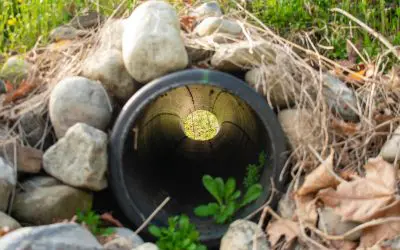 Water Goes Where You Send It: How to Improve Drainage on Your Property