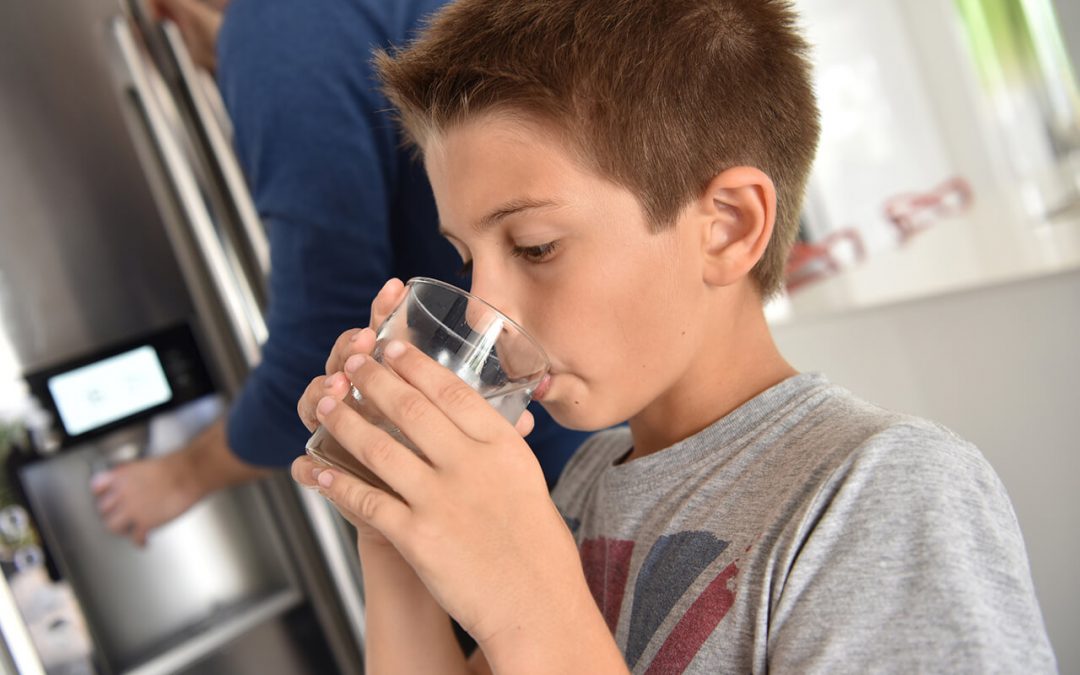 Is Your Drinking Water Safe? 4 Popular Types of Home Water Filters