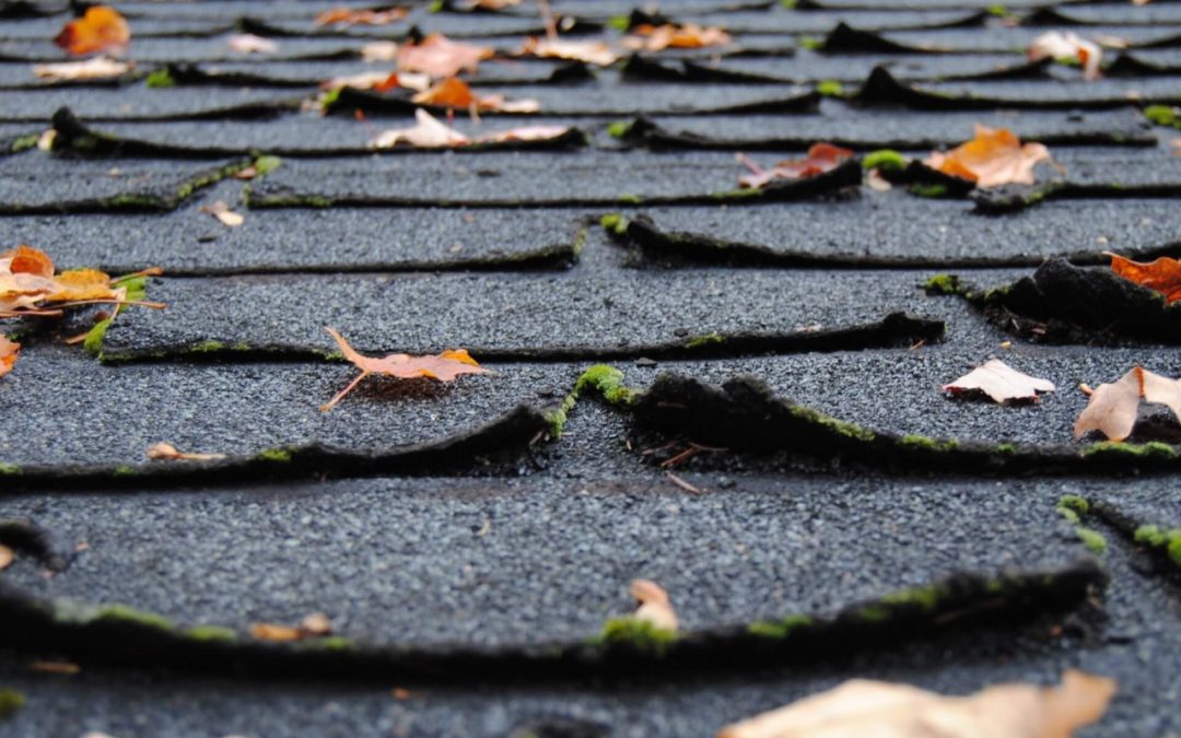 curling and buckling shingles are signs you need a new roof